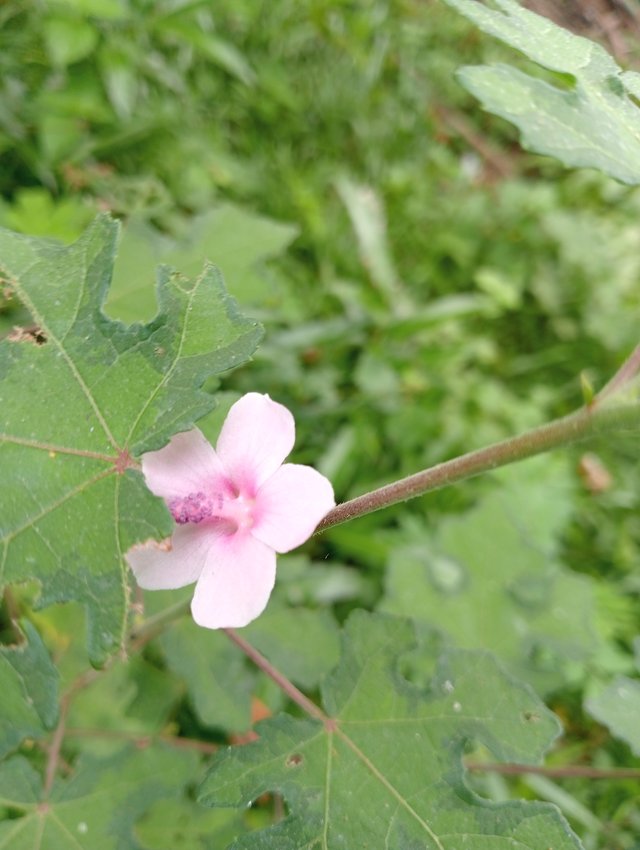 IMG20250919083414.jpg