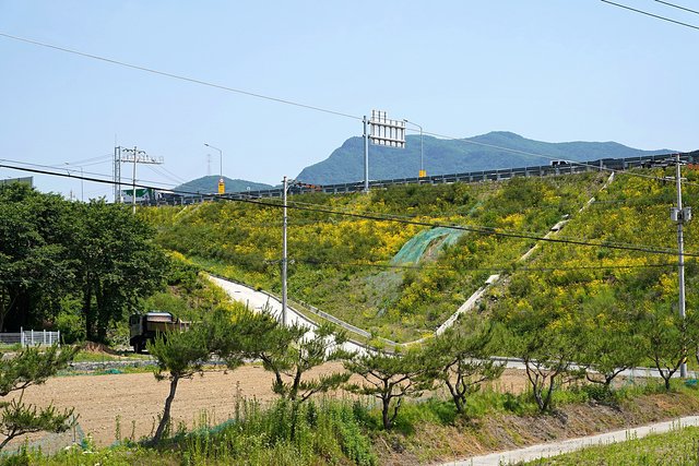 b-DSC04036.JPG
