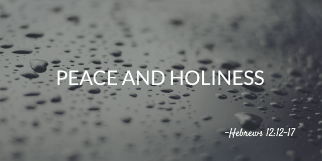 Peace-and-Holiness-fbc.png