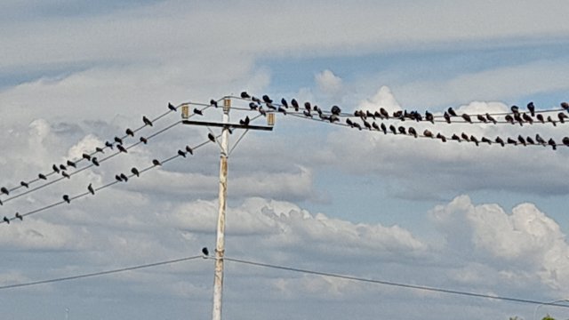 20250818_161037.jpg