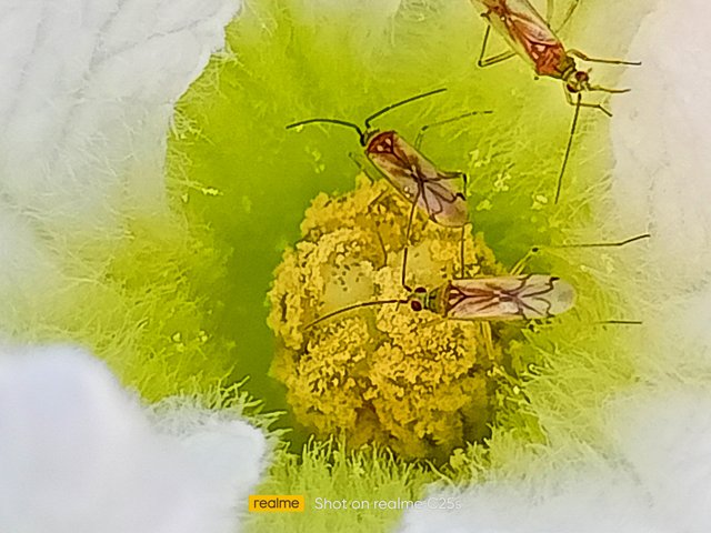 IMG20220107170805_01.jpg