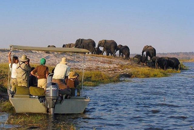 Best Tanzania Safari Tours Activities in Nyerere National Park.jpg