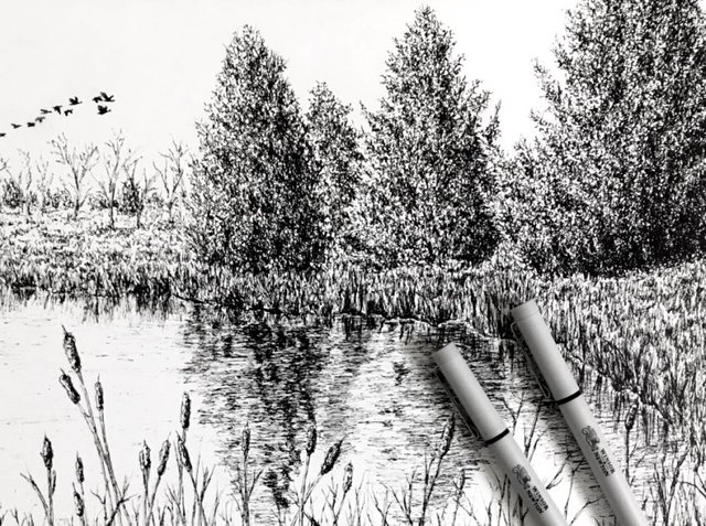 How to Draw (Realistic) Trees with Pen & Ink - Ran Art Blog