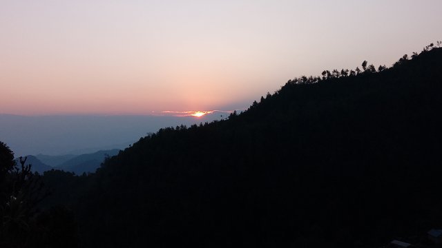 20250322_061724.jpg