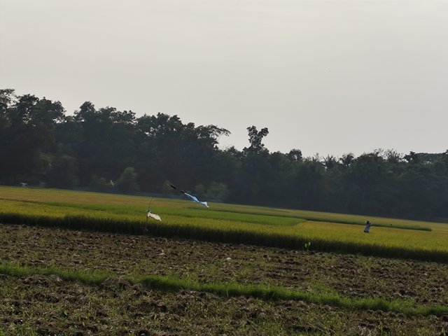 IMG_20250404_162843.jpg