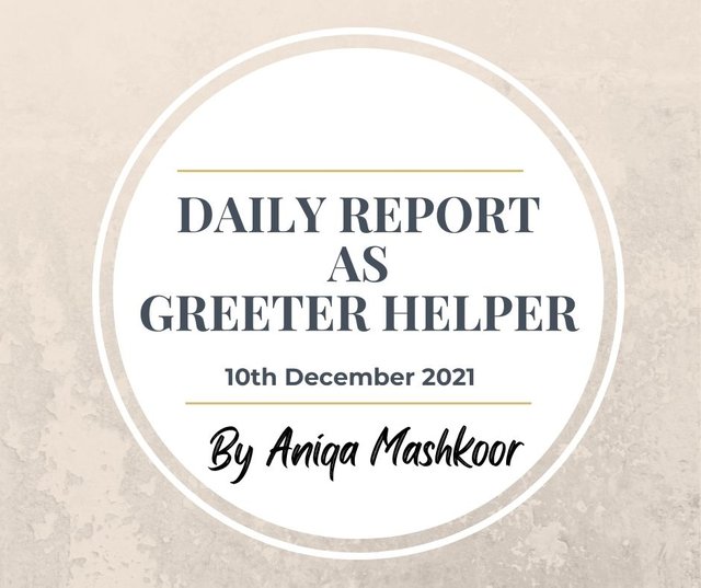 DAILY REPORT AS GREETER HELPER (1).jpg