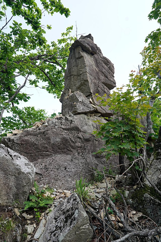 b-DSC07412.JPG