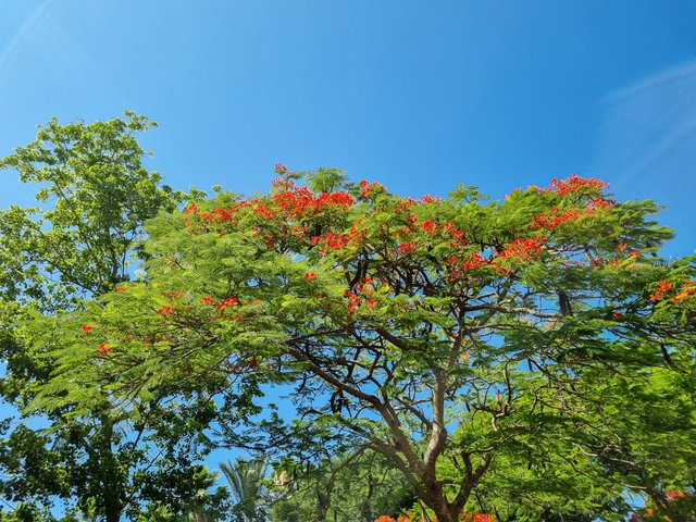 20250618_150334.jpg