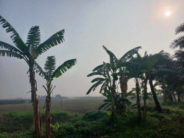 20250419_075012.jpg