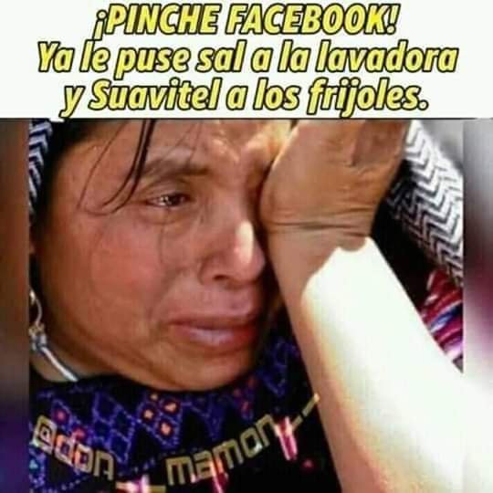 FB_IMG_1542438454283.jpg