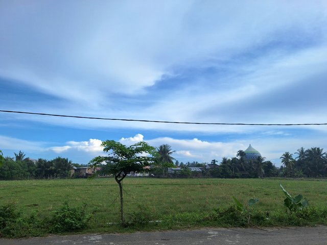 1000930010.jpg
