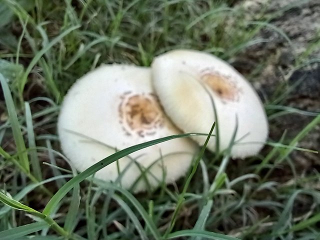 20250524_124052.jpg