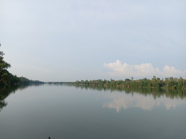 7400.jpg