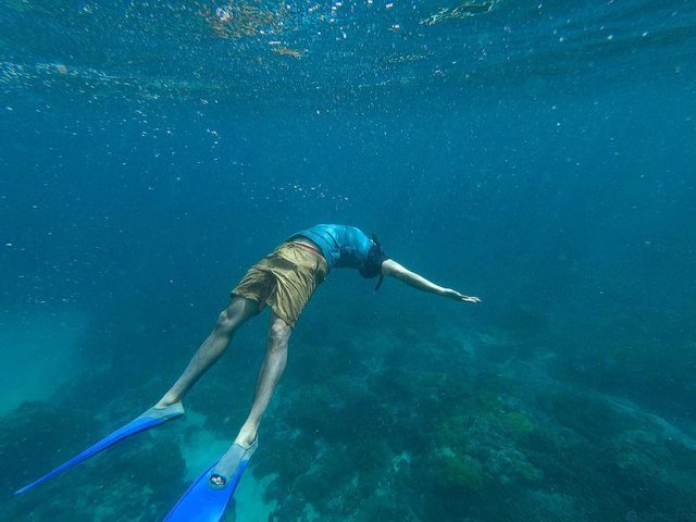 Underwater Daniel.jpg