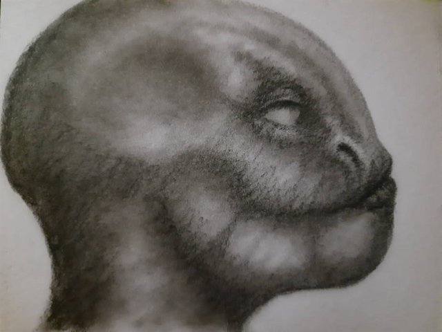 20250529_112202.jpg