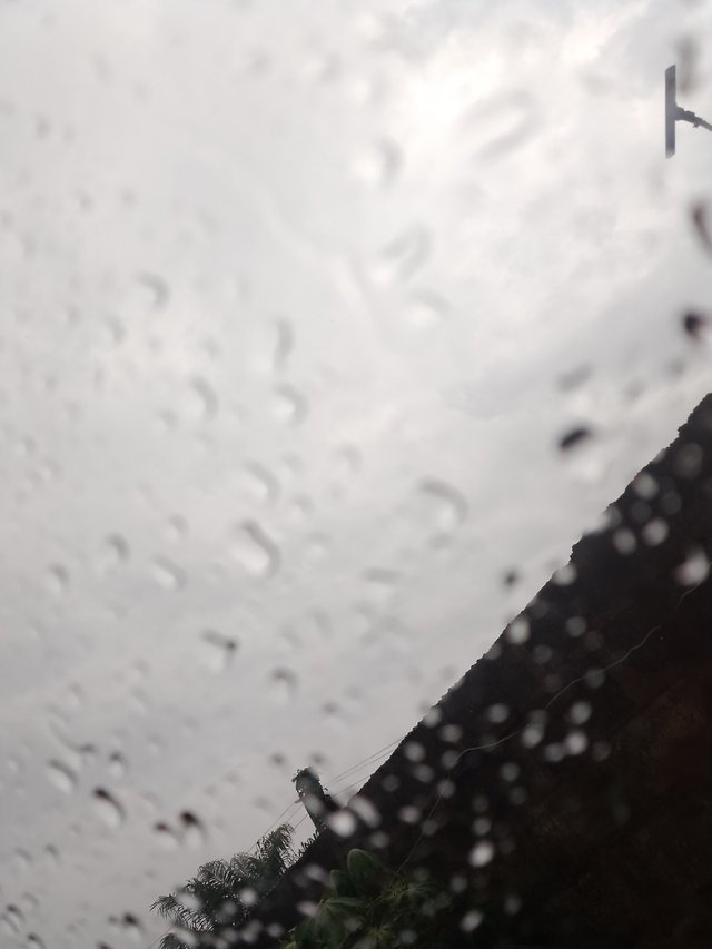 1000422616.jpg