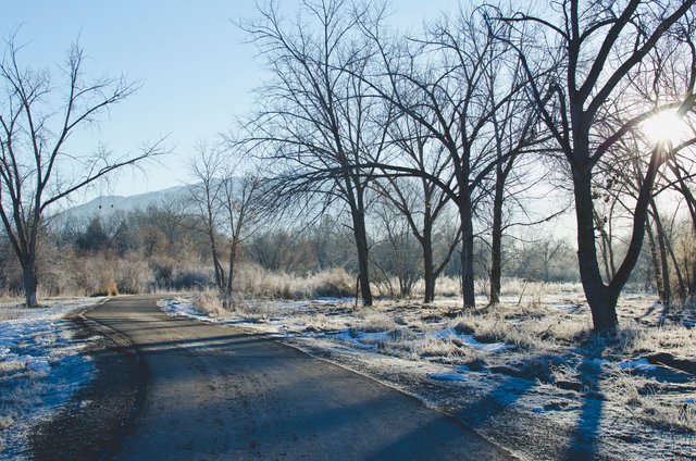The frozen frosty park path.JPG