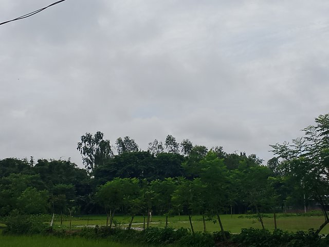 1000047403.jpg