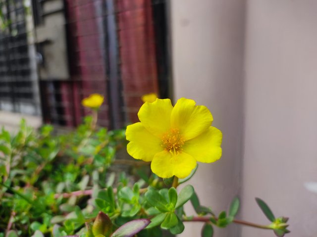 IMG_20250418_162350.jpg