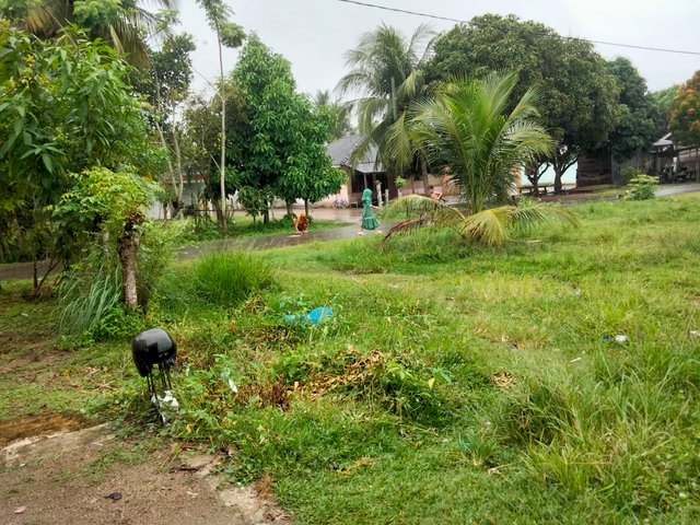IMG20250420131320.jpg