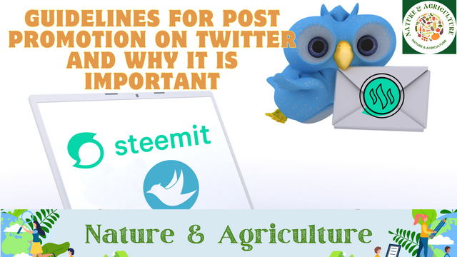 Guidelines for post promotion on Twitter and why it is important.png
