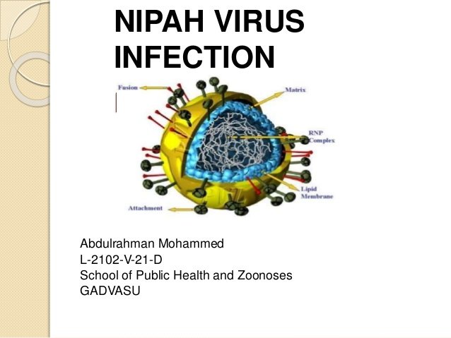 nipah-virus-infection-1-638.jpg