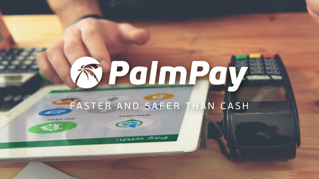 PalmPay chain-agnostic cryptocurrency point of sale system