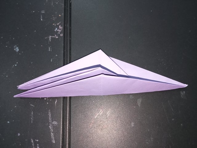 1000029461.jpg