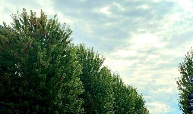 20251001_005457.jpg