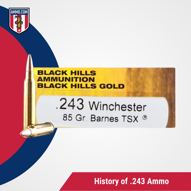 History of 243Ammo.png