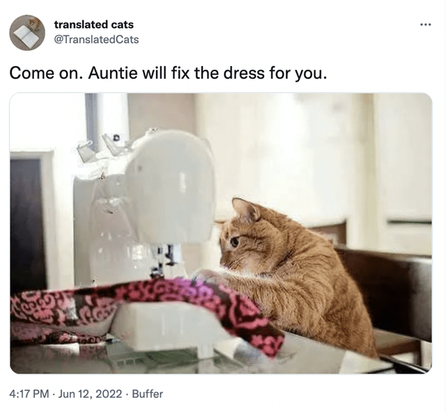 cat-translated-cats-translated-cats-come-on-auntie-will-fix-dress-20-417-pm-jun-12-2022-buffer.png