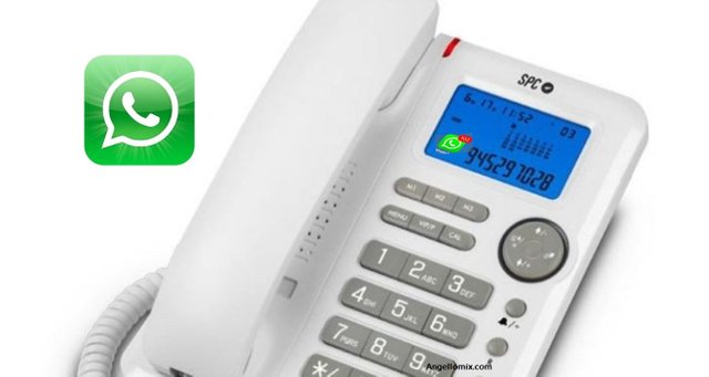 Whatsapp Business en telefono fijo 2019 fijo.JPG