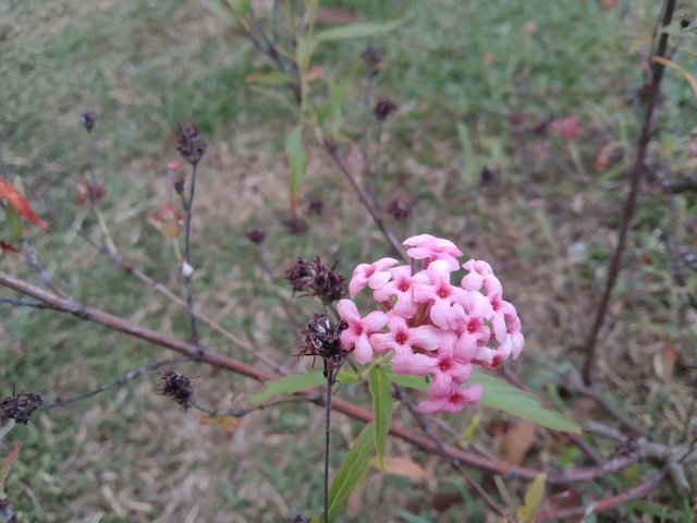 IMG_20250602_180645.jpg