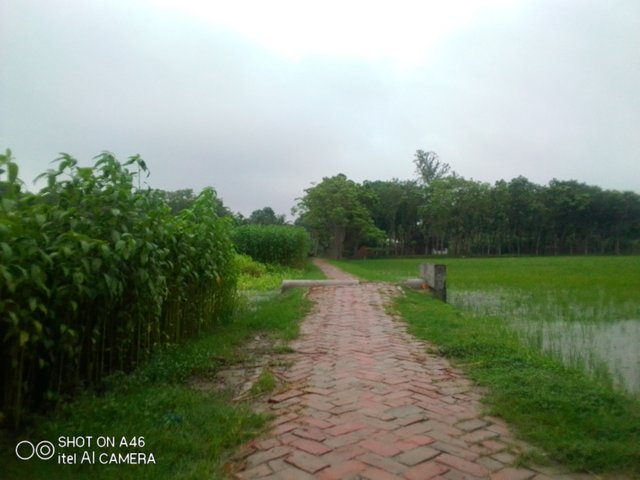 IMG_20210616_132113.jpg