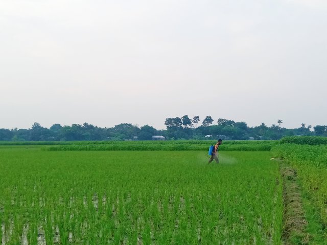 IMG_20250529_151515.jpg