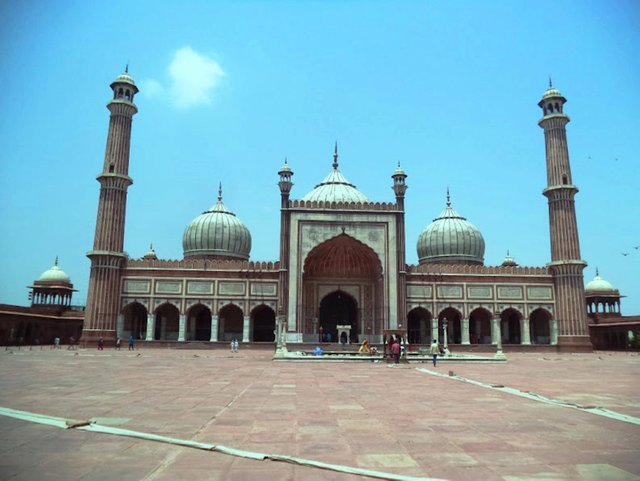 6801bc4d3d277-DSC07565.JPG