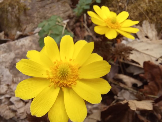 20250402_131156.jpg