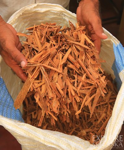 A sackful of precious Ceylon cinnamon.jpg