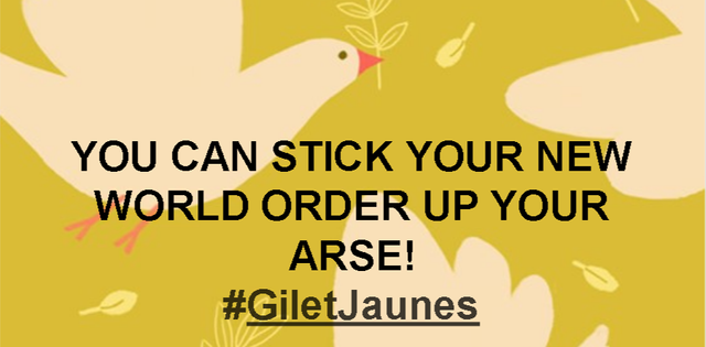 NWO UP YOUR ARSE #GiletJaunes.png