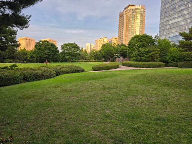 1000016181.jpg