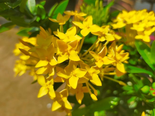 IMG20250326101552.jpg