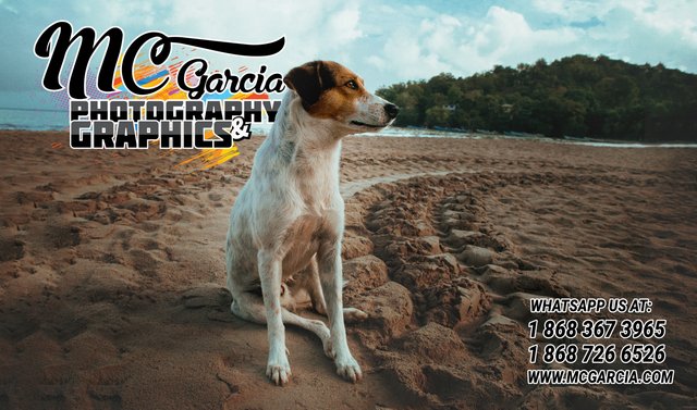 MC Garcia Photo Promo copy.jpg