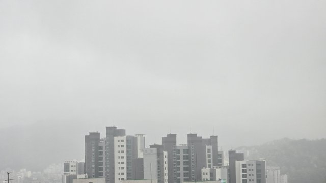 1000123535.jpg