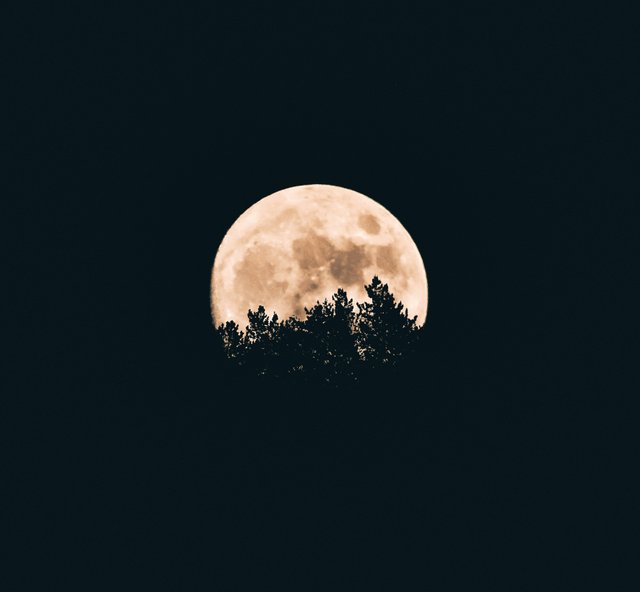 aron-visuals-4zxSWESyZio-unsplash.jpg