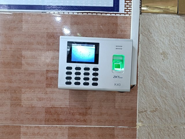 1000004602.jpg
