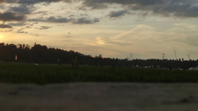 IMG_20250803_182748.jpg