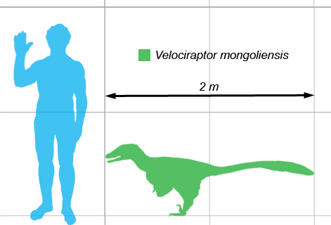 20121109171820!Vraptor-scale.png