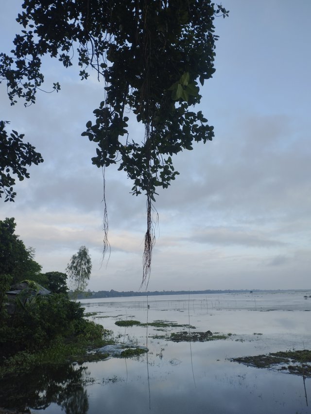 IMG_20250730_061020.jpg