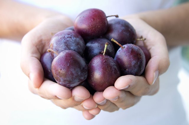 health_benefits_eating_plums_5.jpg