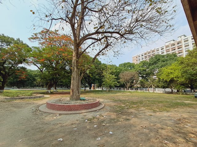 1000027456.jpg